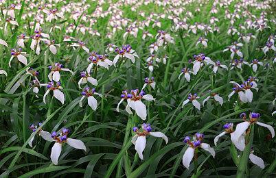 Source of Madness疯狂之源迎万圣节强势推出《他们来自深渊》更新